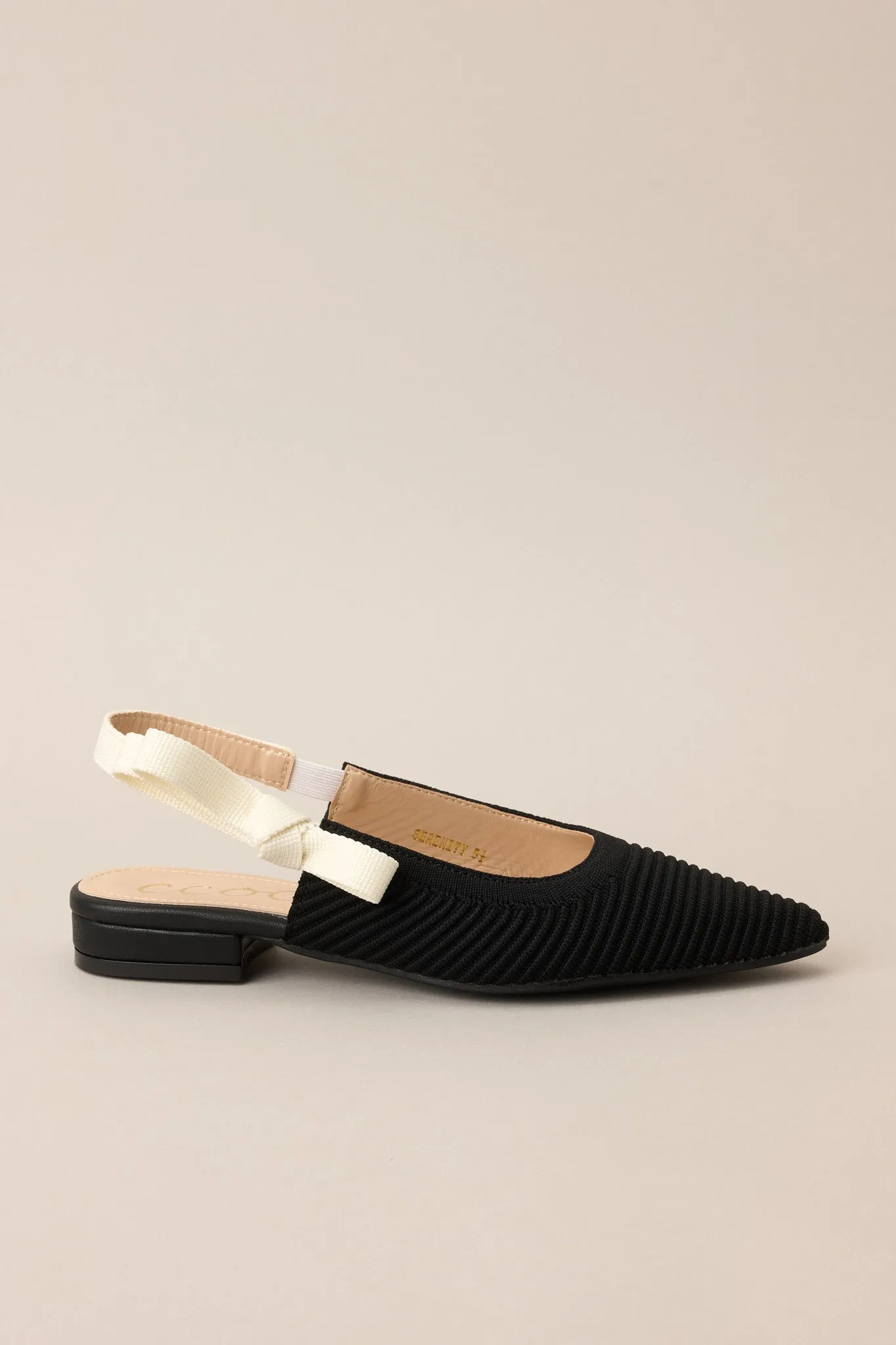 Timeless Memories Black Pointed Toe Flats